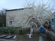 Продам коттедж  в 1, 5 уровня